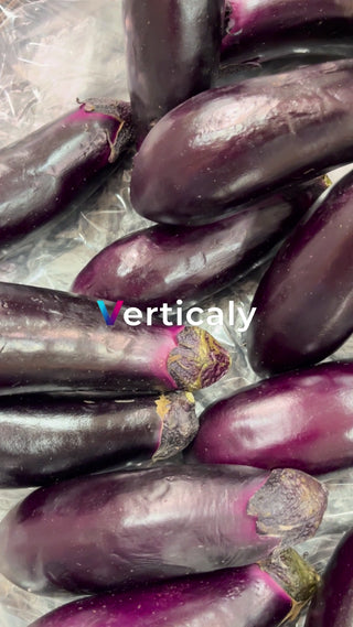 艶やかな茄子、新鮮