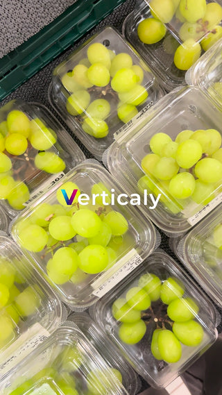 シャインマスカットの透明感