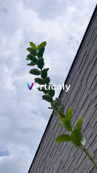 空と建物、爽やかな風景