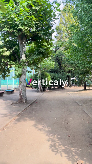 公園の散歩道、木漏れ日の中