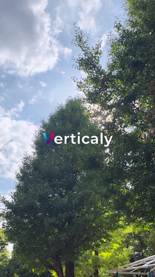 木漏れ日の下、青空を見上げる