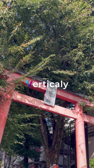 朱色の鳥居と木漏れ日