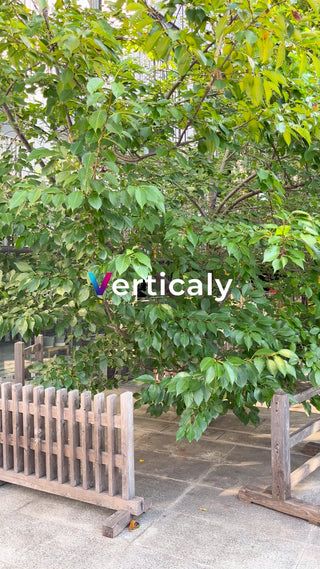 緑葉と木製柵のある風景