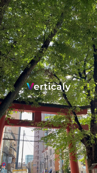 鳥居と木漏れ日、夏の風景