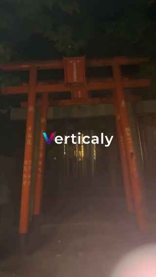 朱色の鳥居、夜の参道