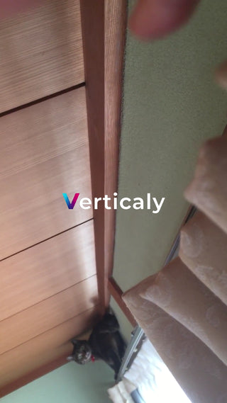 猫と木枠の隙間