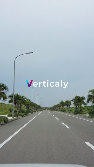 椰子の並木道、爽やかなドライブ