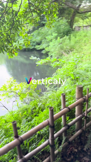 水辺の風景、竹柵と緑