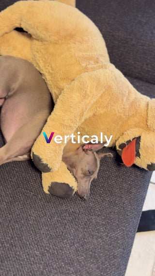 愛犬とまったりソファ時間