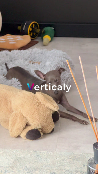 愛犬とまったり、くつろぎ時間