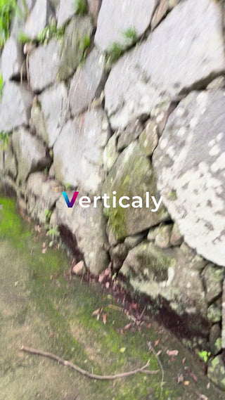 石垣と緑、静かな散歩道