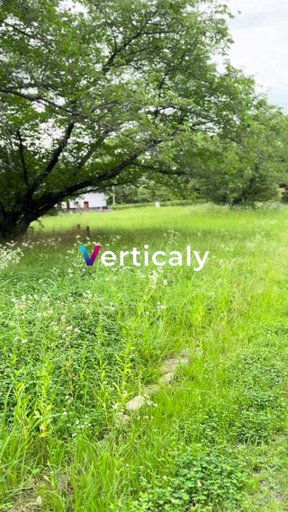 新緑の中を歩く、散歩道