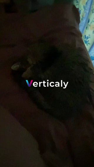 眠るオポッサム