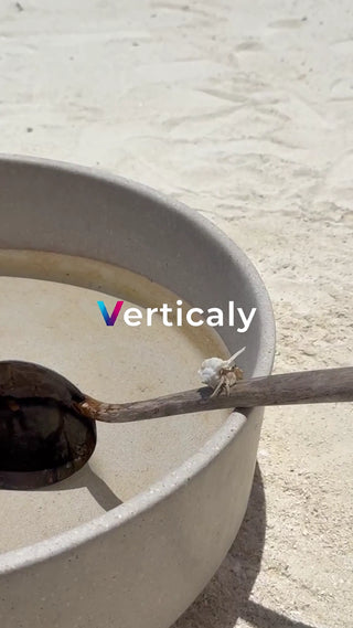 砂浜で遊ぶヤドカリ