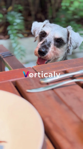 犬と過ごす穏やかな時間