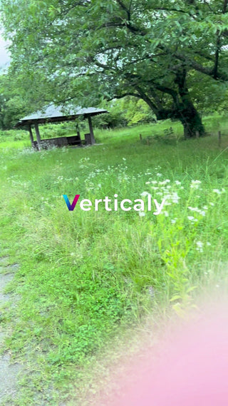 公園の木陰、休息時間