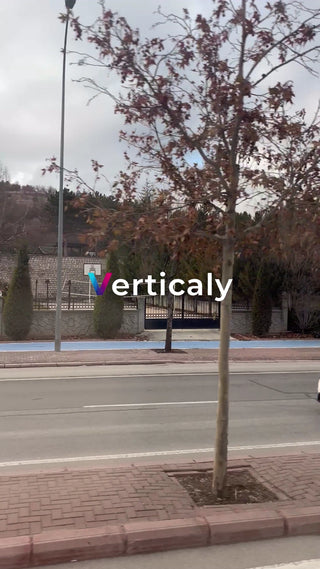 通学路の風景、曇り空の下