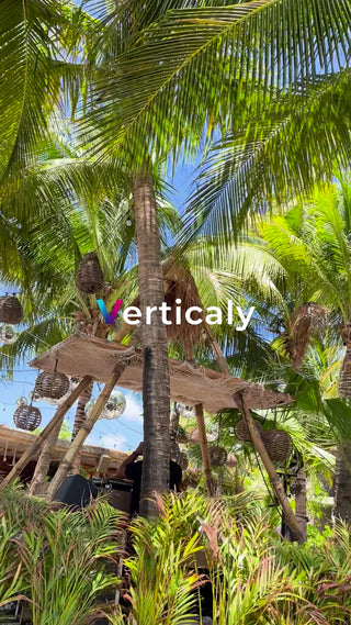 ヤシの木陰で DJ プレイ