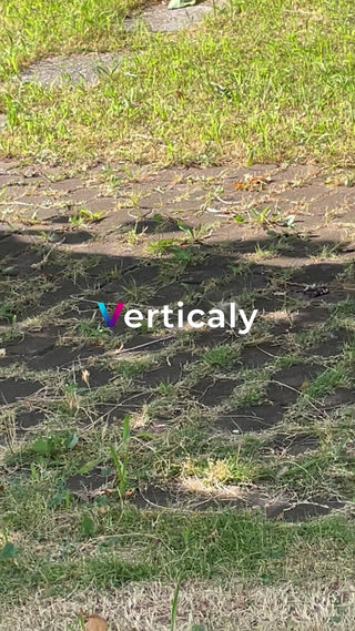 芝生とレンガ、午後の日差し