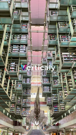 図書館、本棚の風景