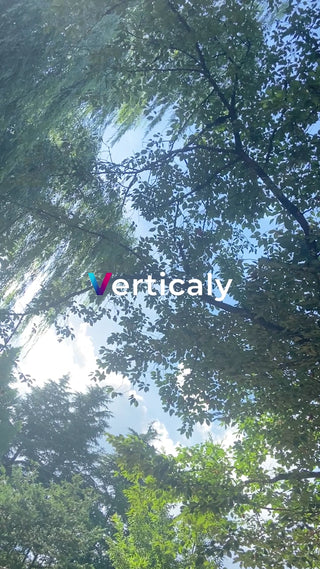 木漏れ日、青空見上げ