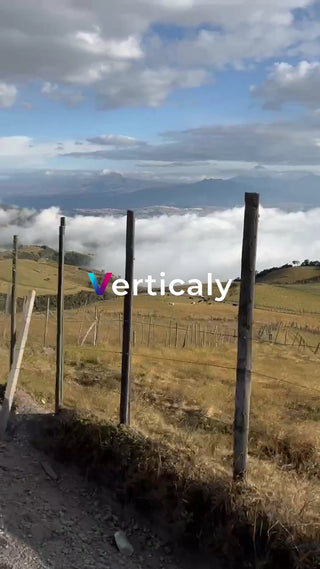 田園風景と雲海、穏やかな時間