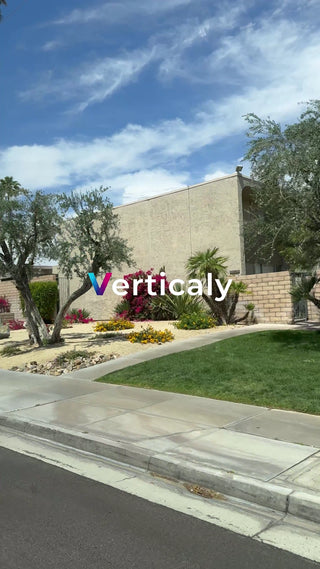 日差しと花々の風景