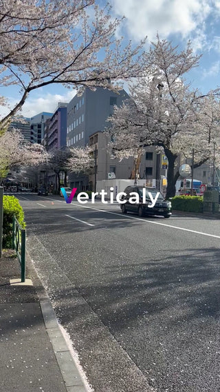 桜並木、春の街並み