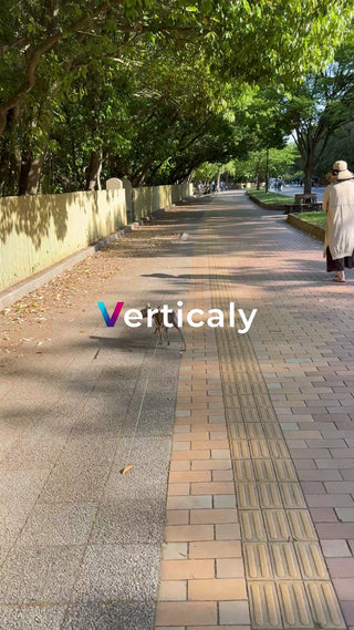 公園を散歩する犬