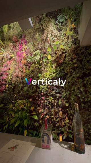 植物に囲まれた空間、癒やし