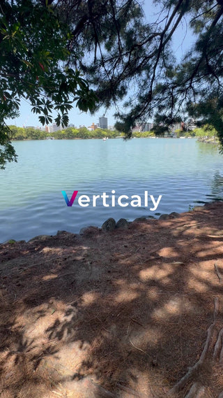 水辺の風景、木漏れ日の午後
