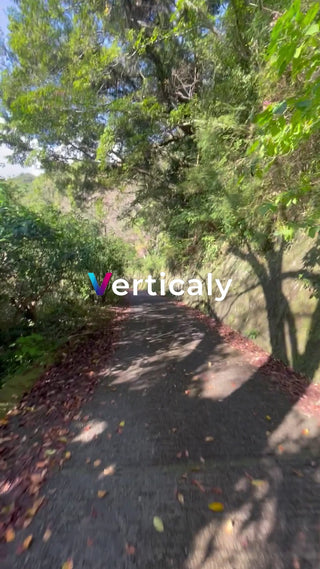 木漏れ日の小道散歩