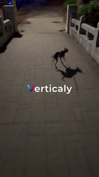 夜の散歩、犬と影