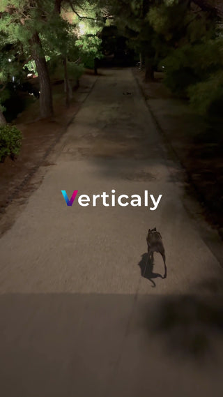 夜の公園、犬と散歩