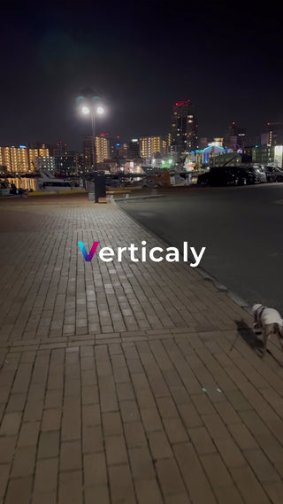 夜の港を歩く犬