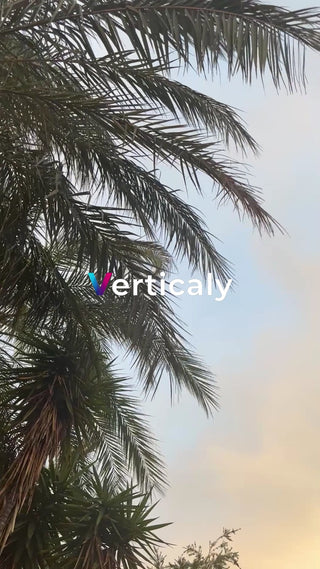 ヤシの木と空、穏やかな午後