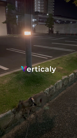 犬と散歩、夕暮れの道