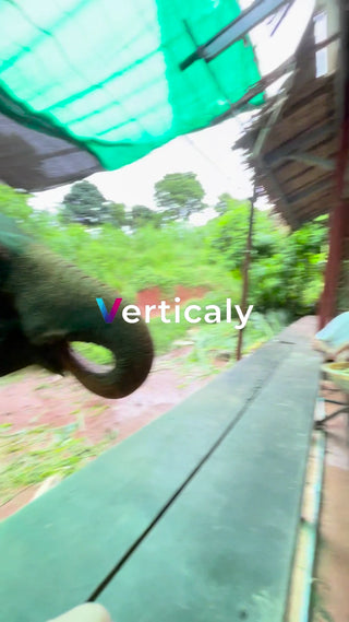 象の鼻、迫力満点