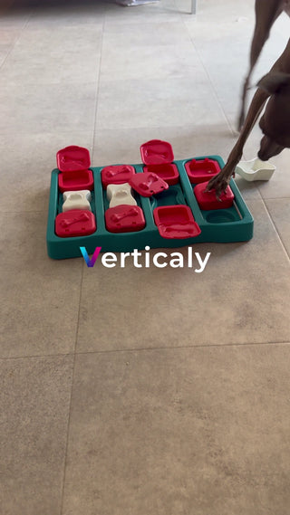 犬用知育おもちゃで遊ぶ