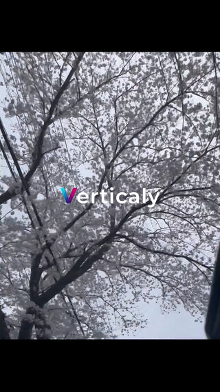 雪景色、冬の木々