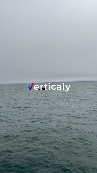 海面に現れるクジラ