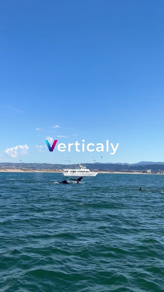 海で戯れるクジラたち