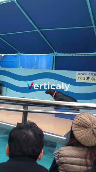 シーンコンテンツ