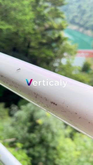 白い手すりの上の蟻