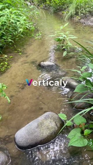 小川のせせらぎ、夏の緑陰