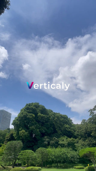 晴天の公園、緑陰の下で