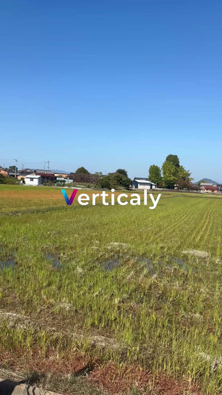 田園風景と青空