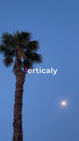 夕暮れのヤシの木と月