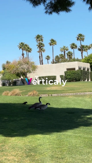 公園で遊ぶカナダガン