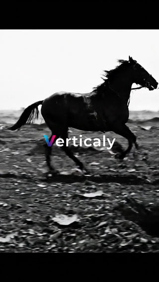 疾走する黒い馬